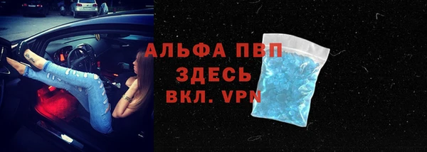 гашик Сатка